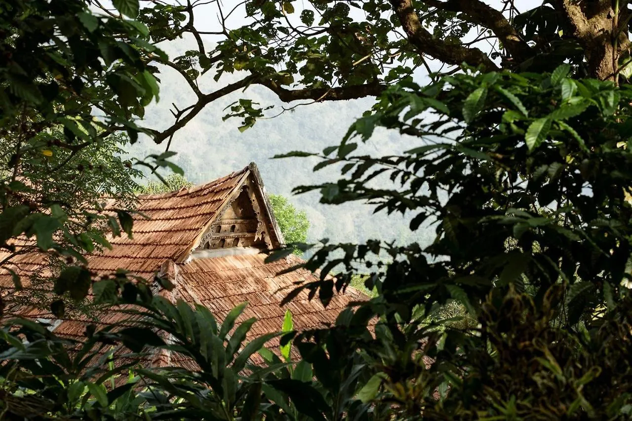 Paradisa Nature Resort Pīrmed Szálloda
